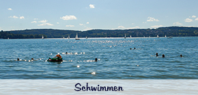 Schwimmen am Bodensee 